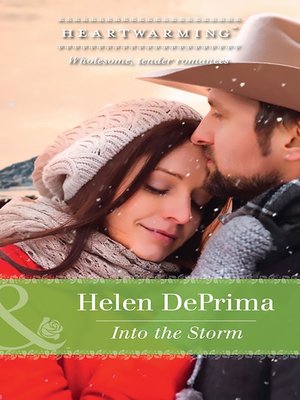 cover image of Into the Storm